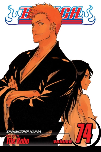 Bleach, Vol. 74 : The Death and the Strawberry Volume 74-9781421596020