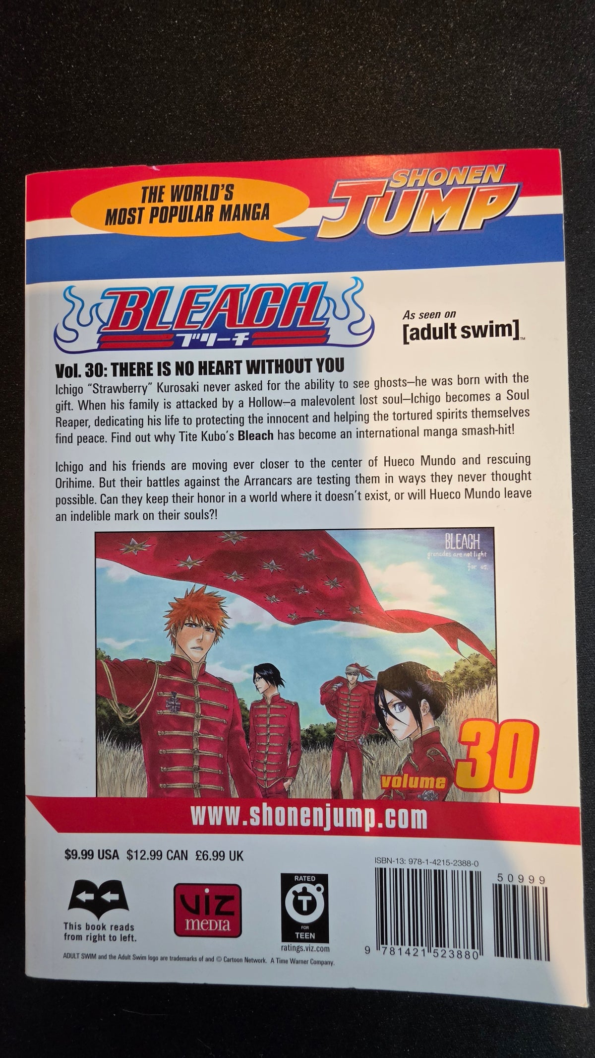 Bleach Volume 30 preowned actual copy back
