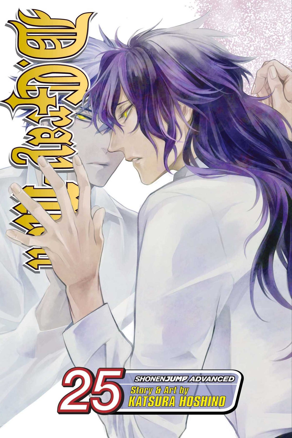 D.Gray-man Volume 25 - 9781421592701