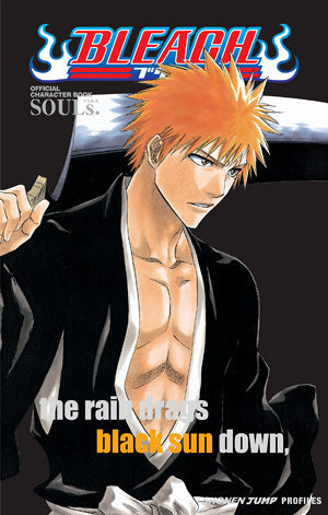 Bleach SOULs Official Character Book used guidebook cover
