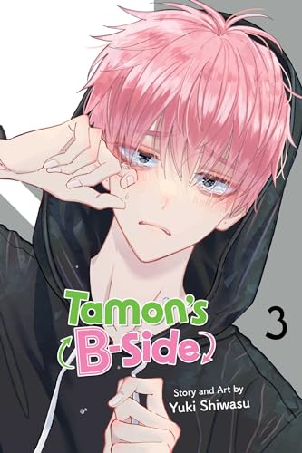 Tamon's B-Side Vol. 3 English Manga Paperback book cover
