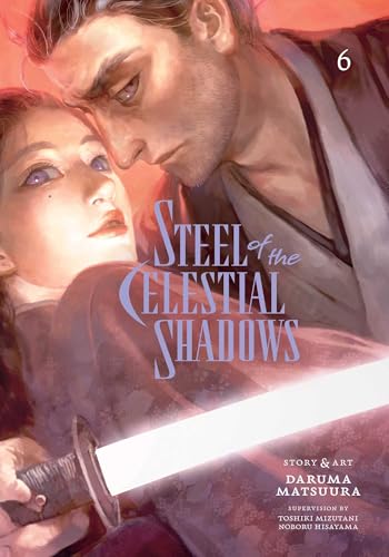 Steel of the Celestial Shadows Vol. 6 English Manga Paperback book cover