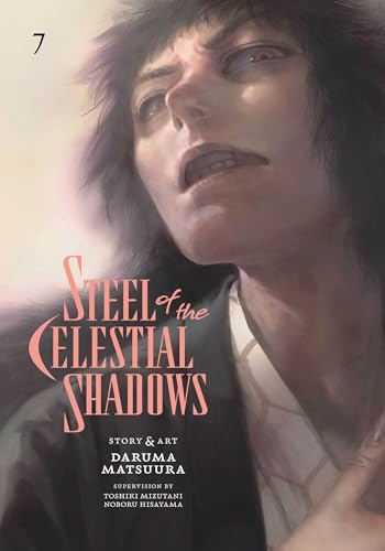 Steel of the Celestial Shadows Vol. 7 English Manga Paperback book cover