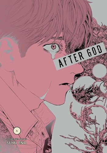After God Vol. 6 English Manga Paperback book cover
