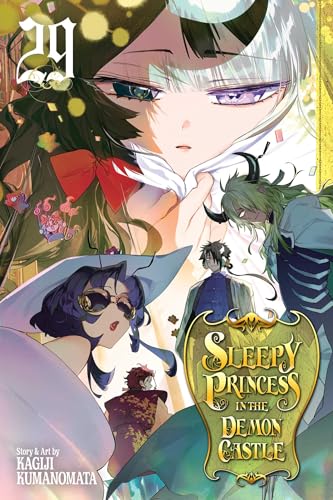 Sleepy Princess in the Demon Castle Vol. 29 English Manga Paperback book cover