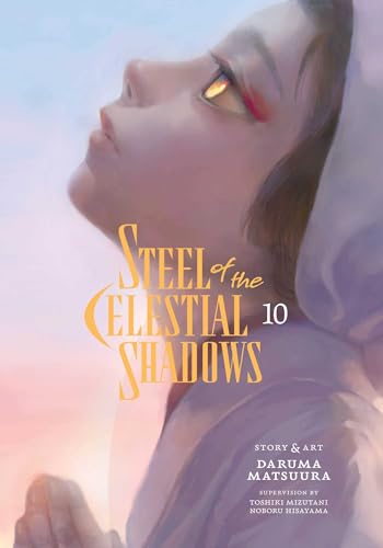 Steel of the Celestial Shadows Vol. 10 English Manga Paperback book cover