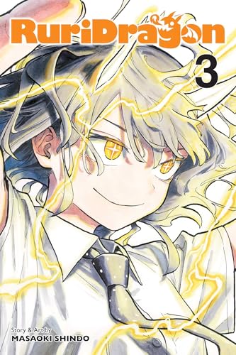 RuriDragon Vol. 3 English Manga Paperback book cover