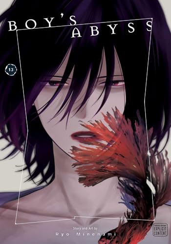 Boy's Abyss Vol. 13 English Manga Paperback book cover