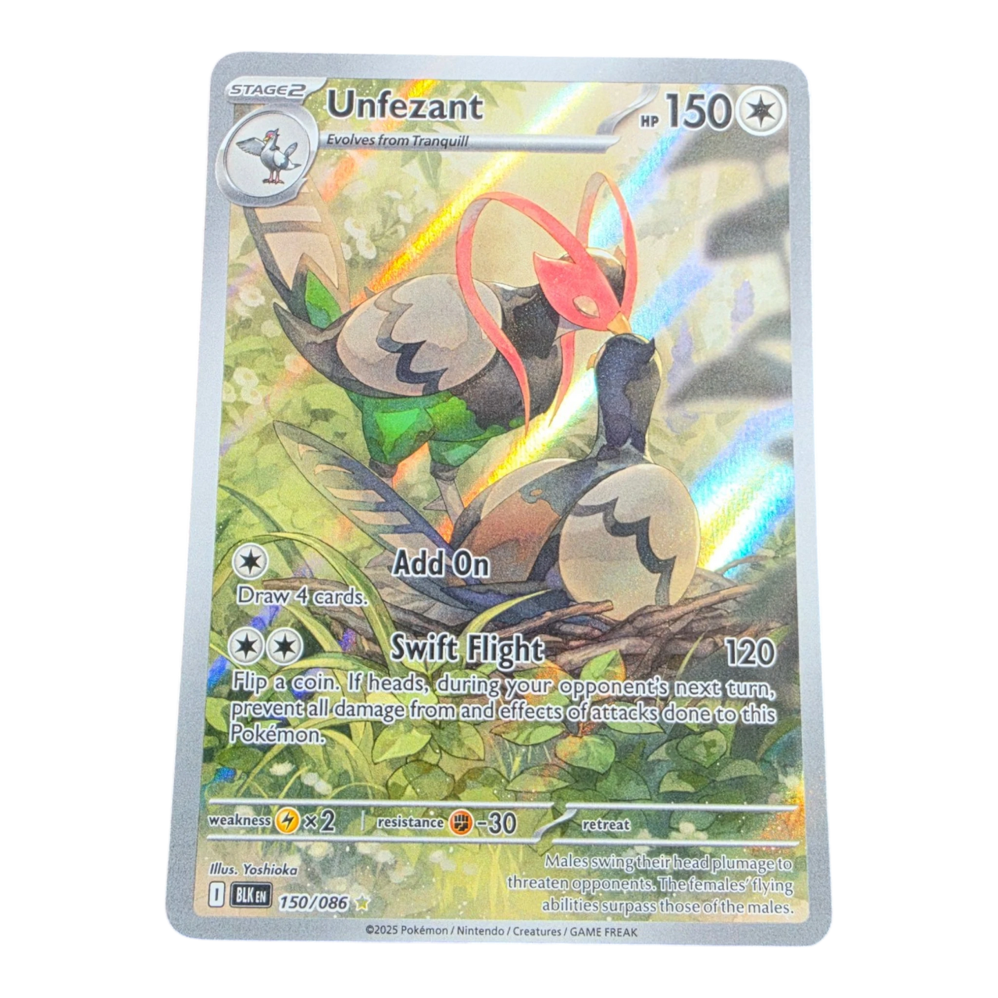 Pokémon Unfezant 150/086 Black Bolt English Illustration Rare NM