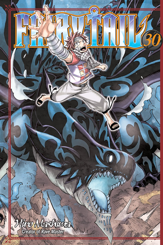 FAIRY TAIL Vol. 29 English Manga Paperback book cover