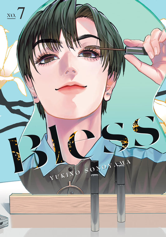 Bless Vol. 6 English Manga Paperback book cover