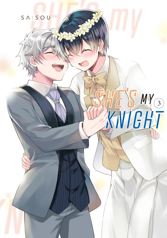 She's My Knight Vol. 2 English Manga Paperback book cover