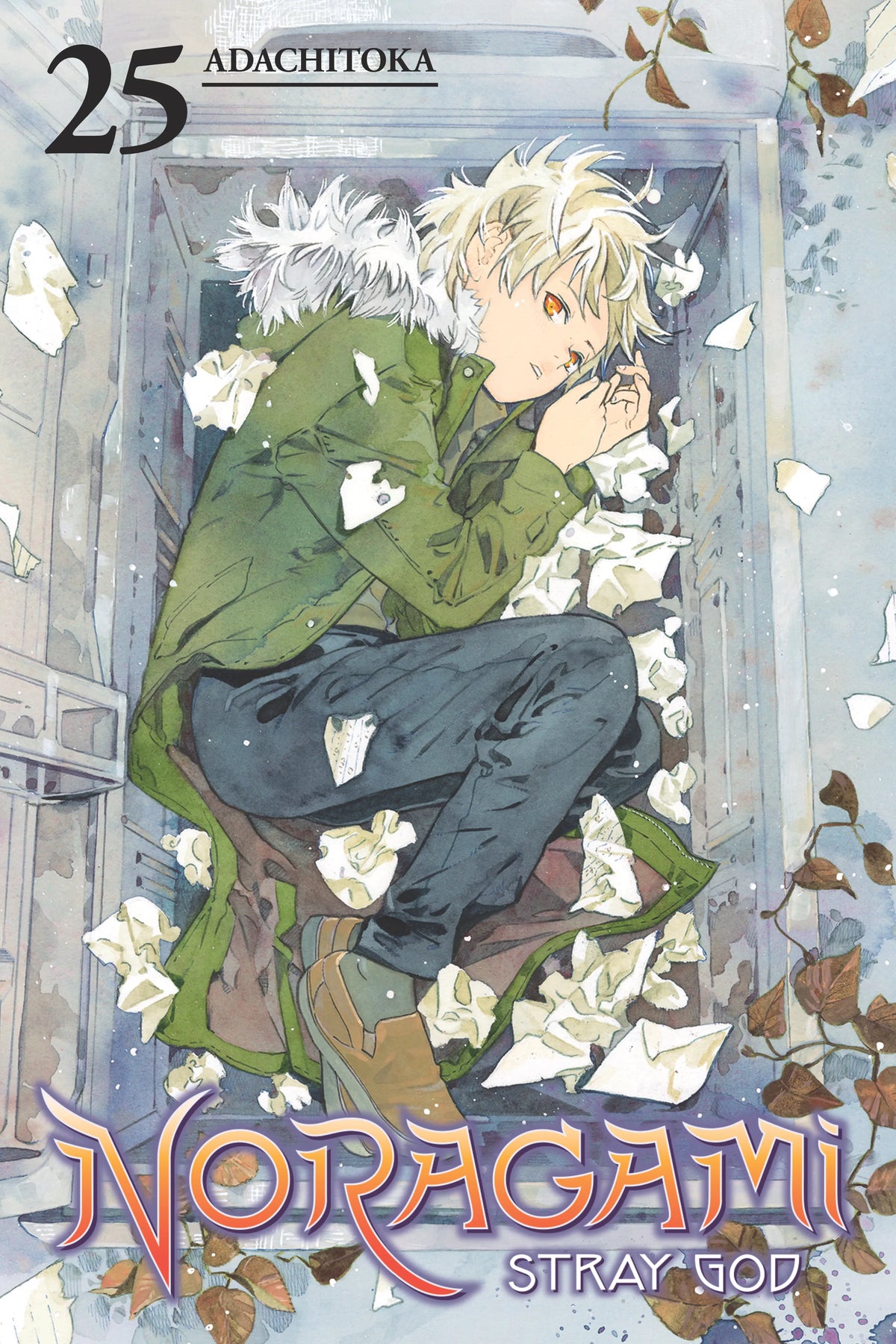 Noragami: Stray God Vol. 24 English Manga Paperback book cover