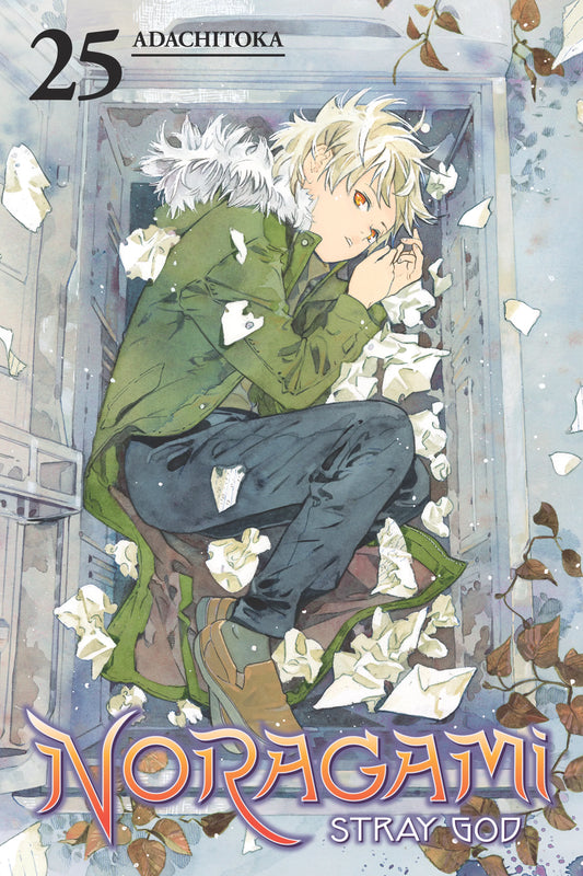 Noragami: Stray God Vol. 24 English Manga Paperback book cover