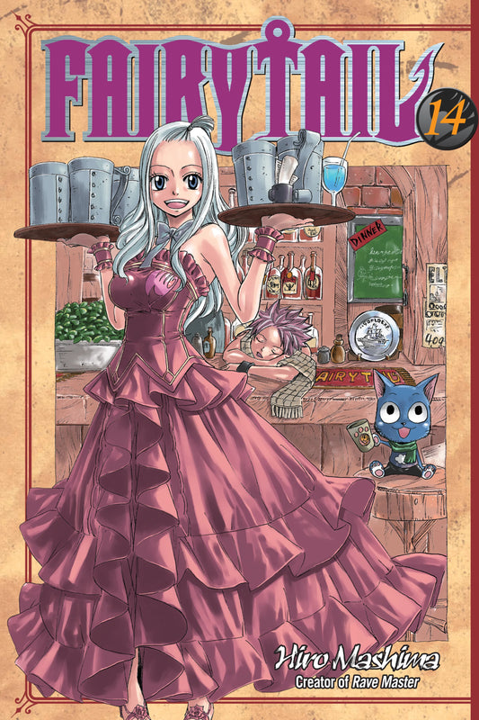FAIRY TAIL Vol. 13 English Manga Paperback book cover