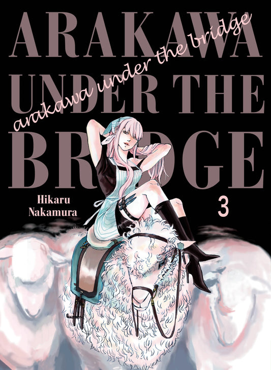 Arakawa Under the Bridge Vol. 2 English Manga Paperback book cover