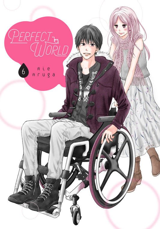 Perfect World Vol. 5 English Manga Paperback book cover