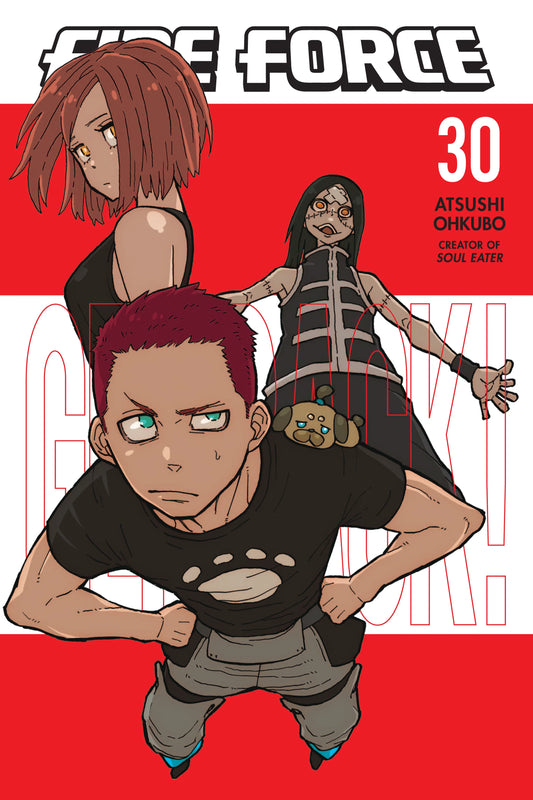 Fire Force Vol. 29 English Manga Paperback book cover