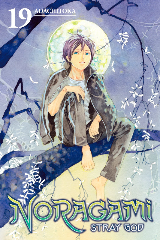 Noragami: Stray God Vol. 18 English Manga Paperback book cover