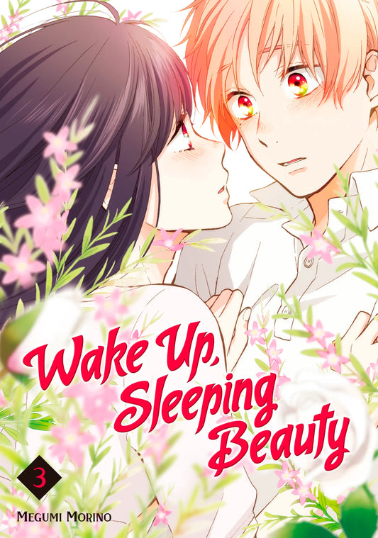Wake Up, Sleeping Beauty Vol. 2 English Manga Paperback book cover