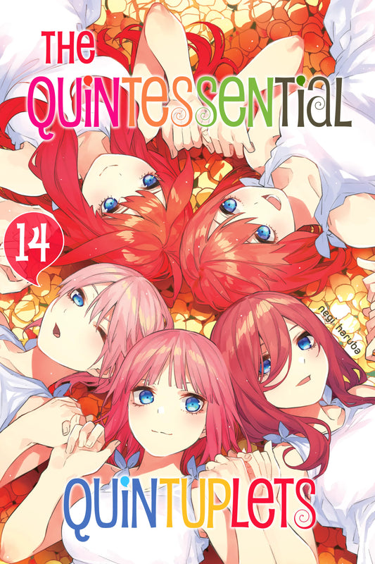 The Quintessential Quintuplets Vol. 13 English Manga Paperback book cover