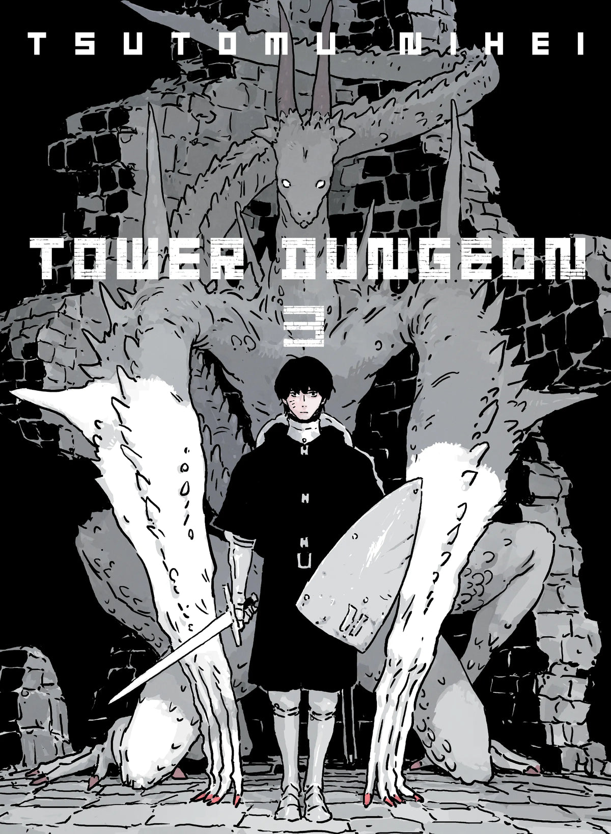 Tower Dungeon Vol. 2 English Manga Paperback book cover