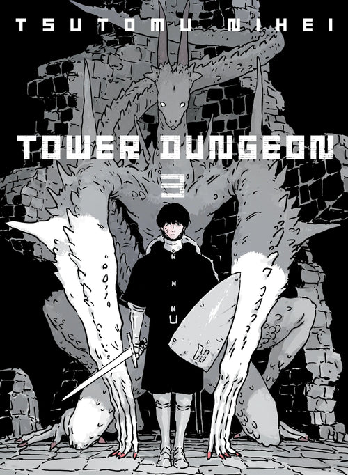 Tower Dungeon Vol. 2 English Manga Paperback book cover