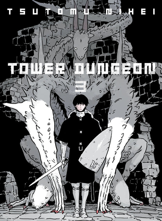 Tower Dungeon Vol. 2 English Manga Paperback book cover