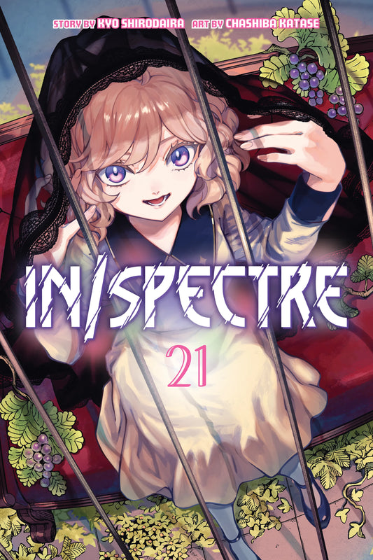 In/Spectre Vol. 20 English Manga Paperback book cover