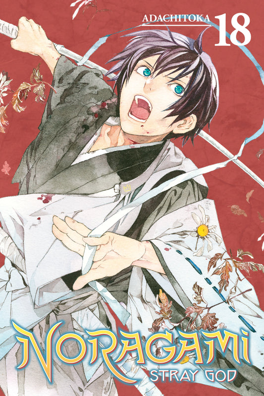 Noragami: Stray God Vol. 17 English Manga Paperback book cover