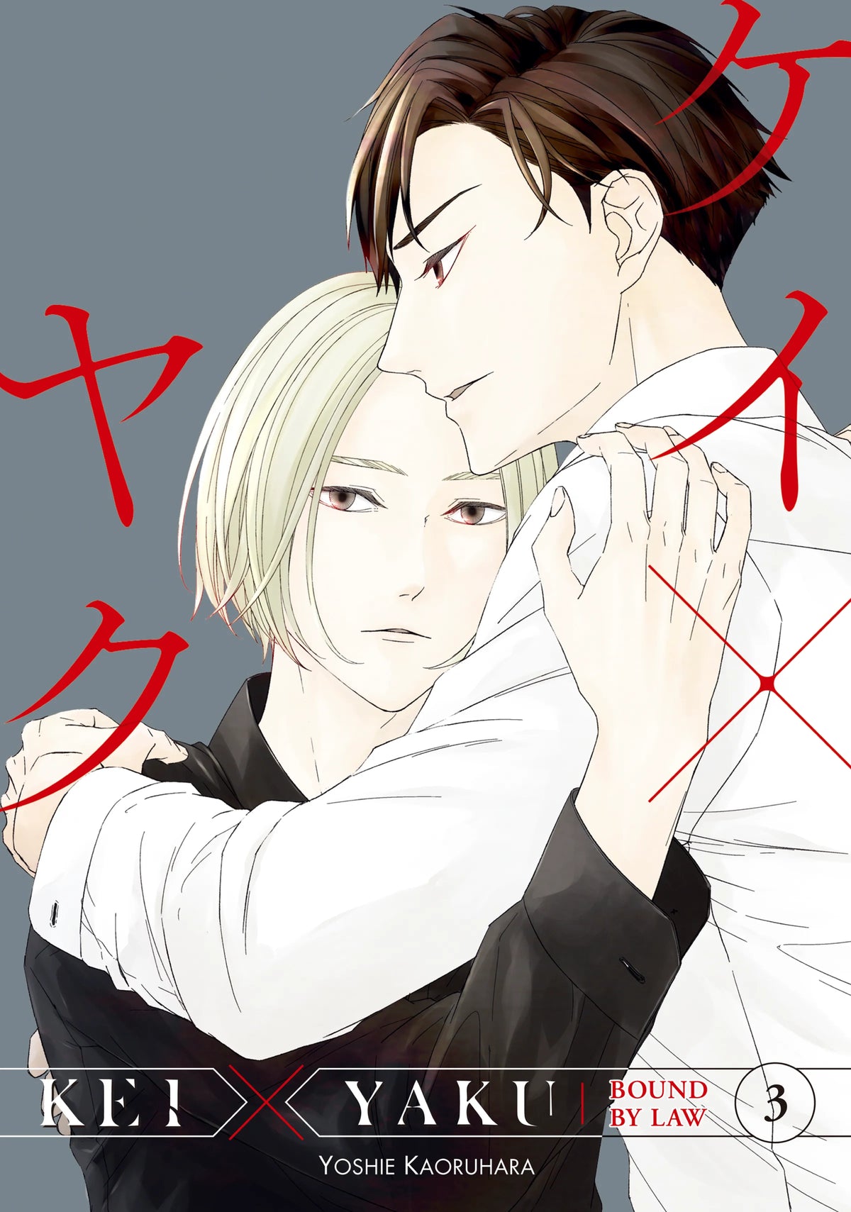 Kei X Yaku: Bound By Law Vol. 2 English Manga Paperback book cover