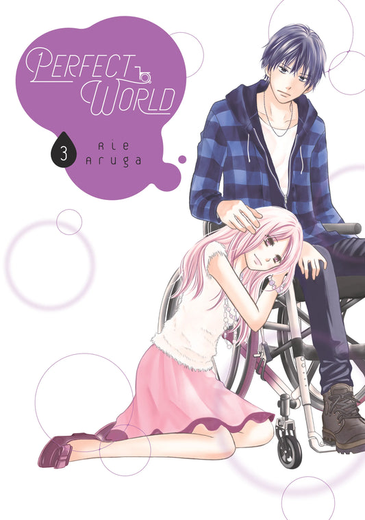 Perfect World Vol. 2 English Manga Paperback book cover