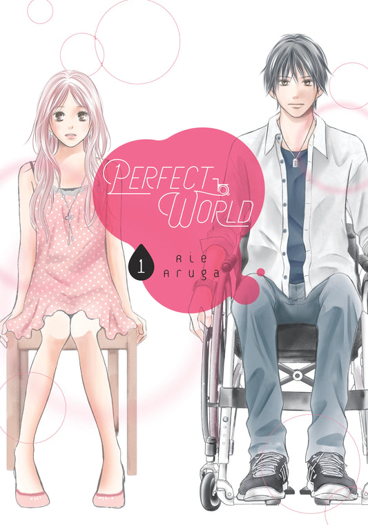 Perfect World Vol. 1 English Manga Paperback book cover