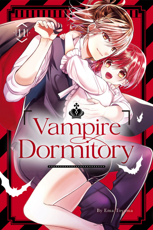 Vampire Dormitory Vol. 10 English Manga Paperback book cover