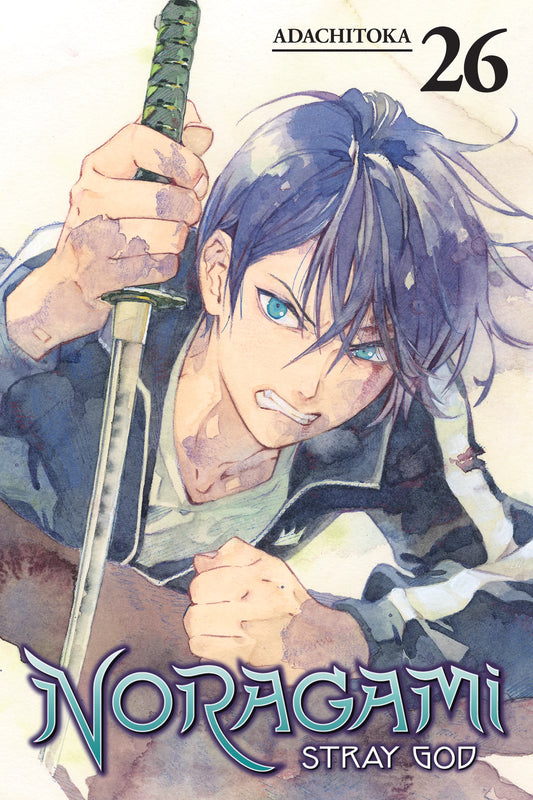 Noragami: Stray God Vol. 25 English Manga Paperback book cover