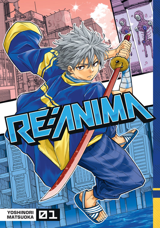 Re:Anima Vol. 1 English Manga Paperback book cover