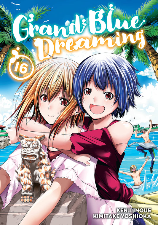 Grand Blue Dreaming Vol. 15 English Manga Paperback book cover