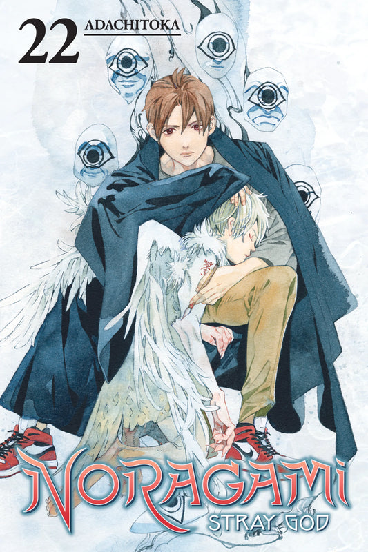Noragami: Stray God Vol. 21 English Manga Paperback book cover