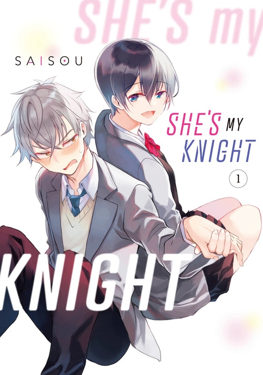She's My Knight Vol. 1 English Manga Paperback book cover