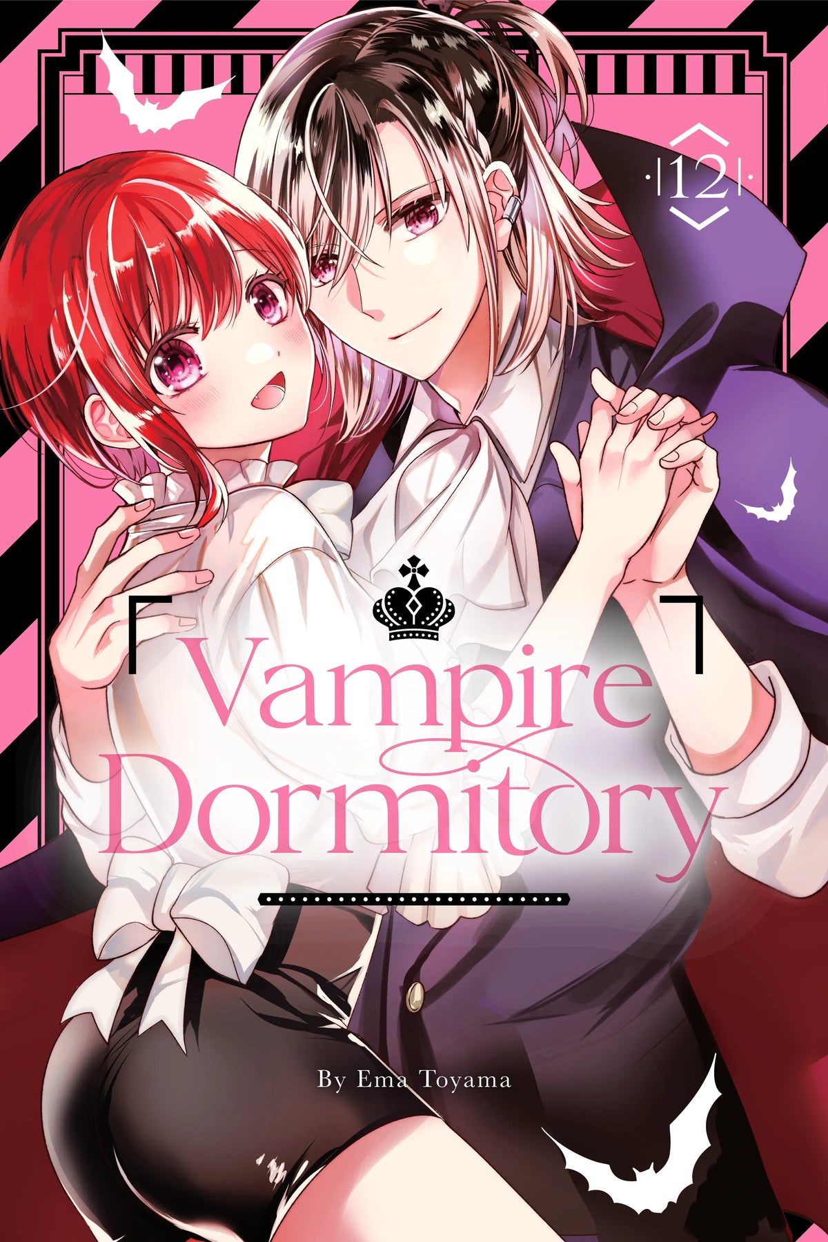 Vampire Dormitory Vol. 11 English Manga Paperback book cover