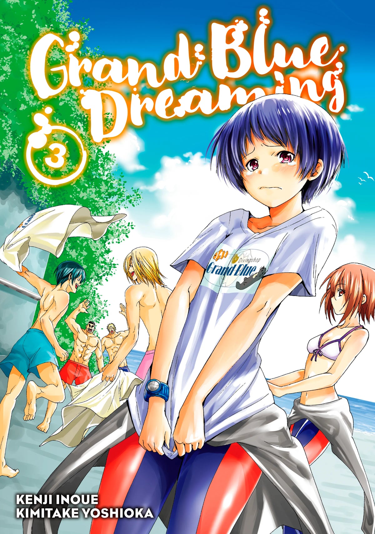 Grand Blue Dreaming Vol. 2 English Manga Paperback book cover
