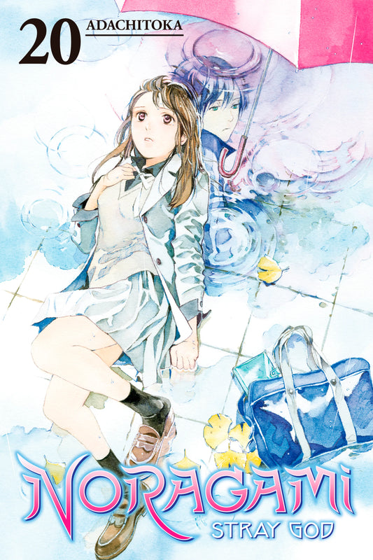 Noragami: Stray God Vol. 19 English Manga Paperback book cover