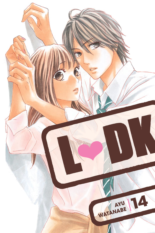 LDK Vol. 13 English Manga Paperback book cover