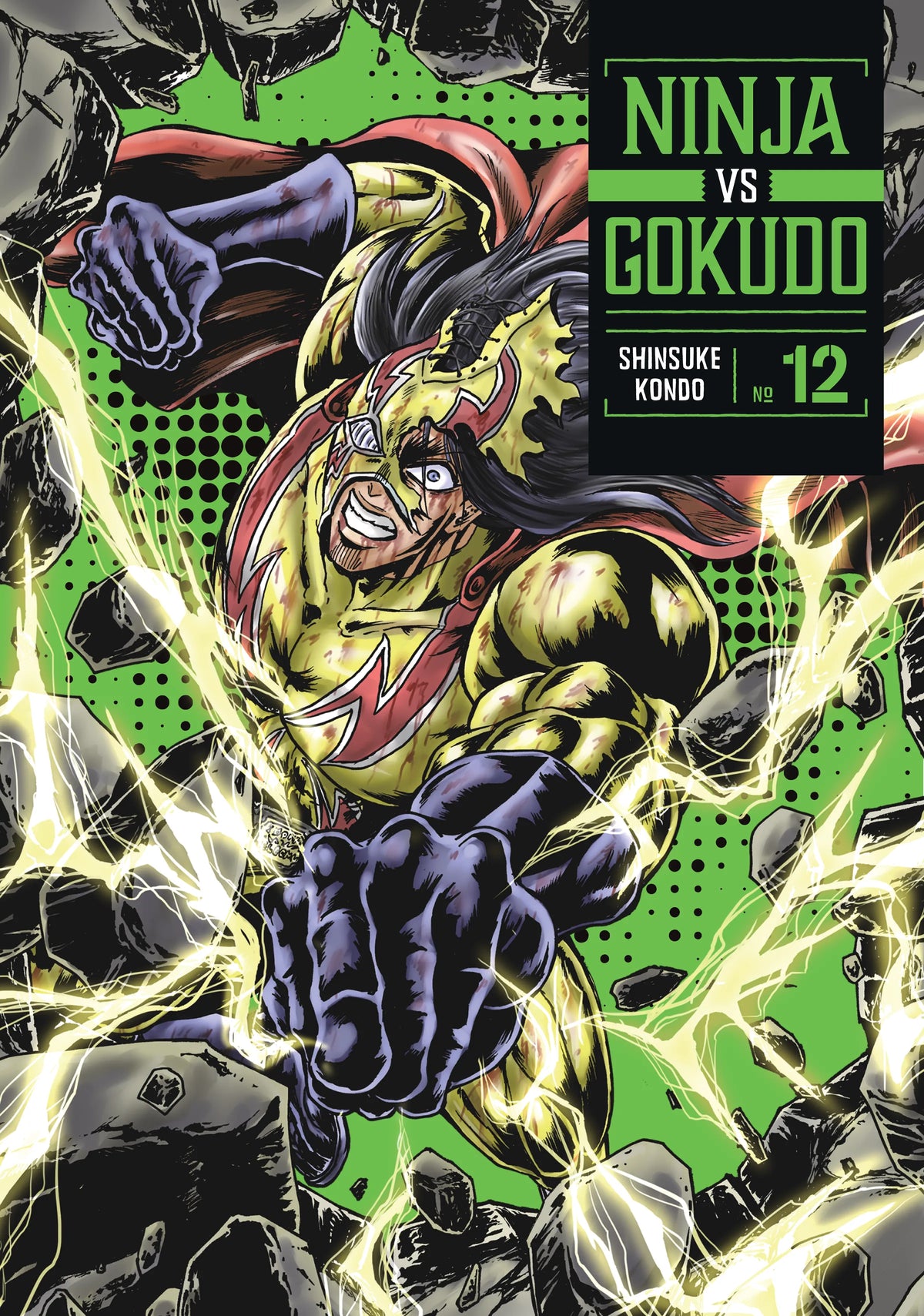 Ninja Vs. Gokudo Vol. 11 English Manga Paperback book cover