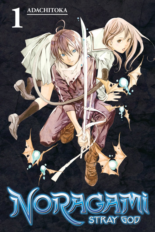 Noragami: Stray God Vol. 1 English Manga Paperback book cover
