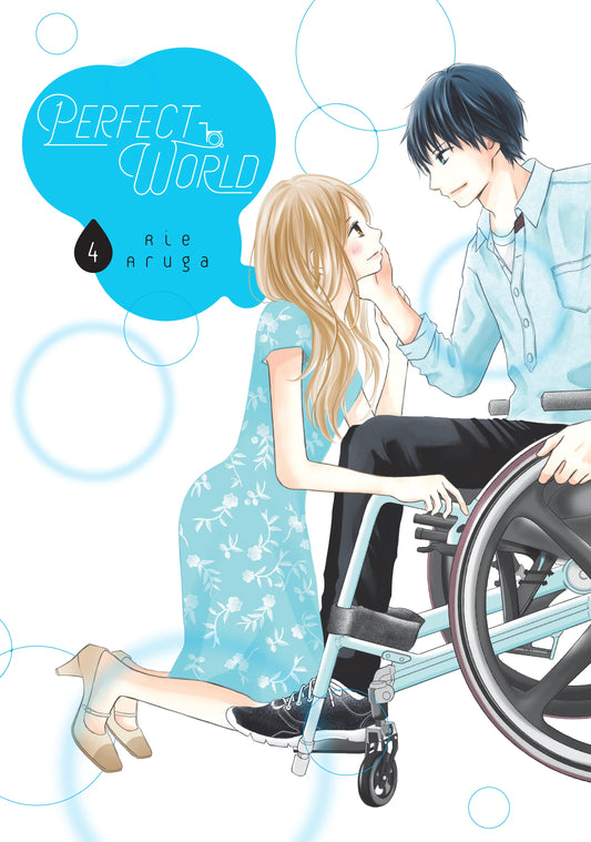 Perfect World Vol. 3 English Manga Paperback book cover