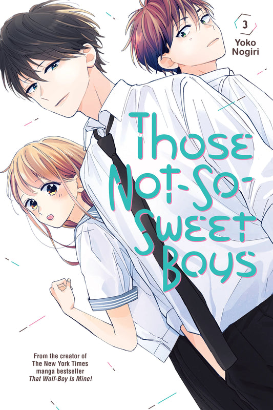 Those Not-So-Sweet Boys Vol. 2 English Manga Paperback book cover