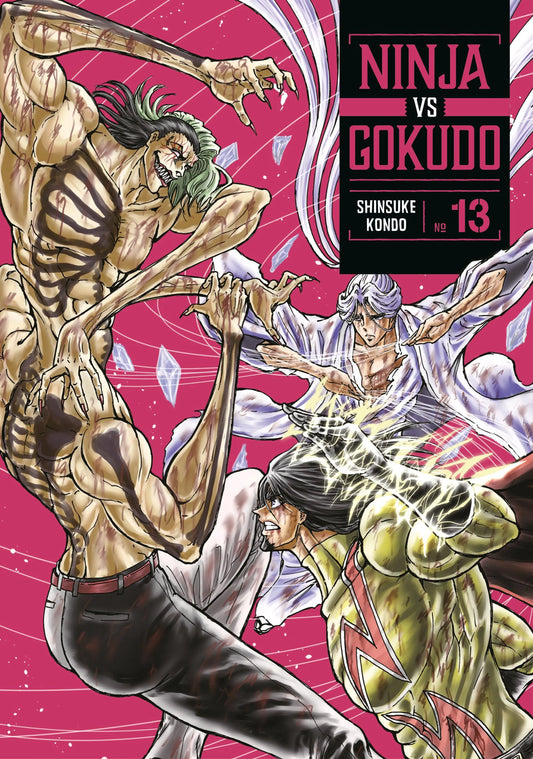 Ninja Vs. Gokudo Vol. 12 English Manga Paperback book cover