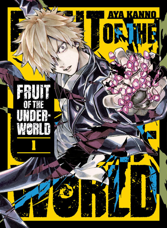 Fruit of the Underworld Vol. 1 English Manga Paperback book cover