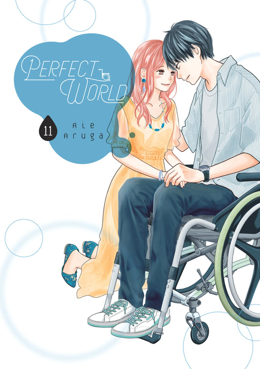 Perfect World Vol. 10 English Manga Paperback book cover